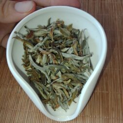 Bạch Trà Shan Tuyết Cổ Thụ