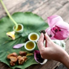 Hot: Đã có chè ướp hoa sen Hồ Tây