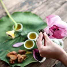 Hot: Đã có chè ướp hoa sen Hồ Tây